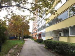 Pronájem bytu 1+1, Praha - Lhotka, Jílovská, 45 m2
