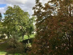 Pronájem bytu 1+1, Praha - Lhotka, Jílovská, 45 m2