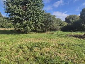 Prodej pozemku pro bydlení, Jestřebí, 1898 m2