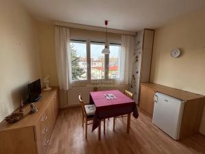 Prodej bytu 1+1, Klatovy, Za Beránkem, 42 m2