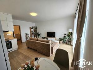 Pronájem bytu 1+kk, Olomouc, Loudova, 49 m2