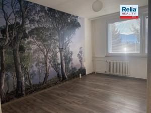 Pronájem bytu 3+1, Raspenava, Moskevská, 80 m2