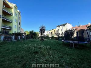 Pronájem bytu 1+1, Brno, Jugoslávská, 49 m2