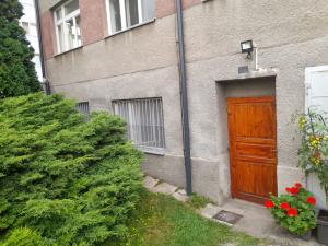 Pronájem bytu 1+1, Olomouc, Smetanova, 45 m2