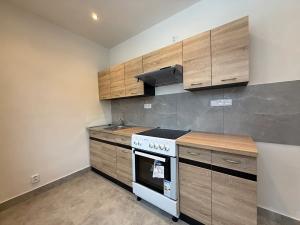 Pronájem bytu 2+1, Habartov, Raisova, 60 m2