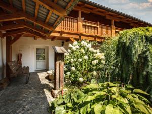 Prodej rodinného domu, Žabovřesky, 950 m2