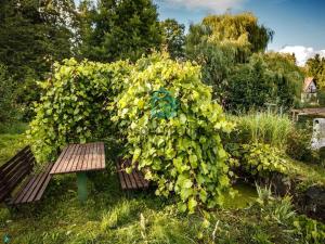 Prodej chaty, Netolice, 90 m2