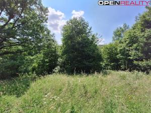 Prodej rodinného domu, Žítková, 80 m2