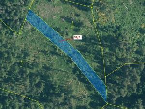 Dražba lesa, Pačejov, 1363 m2