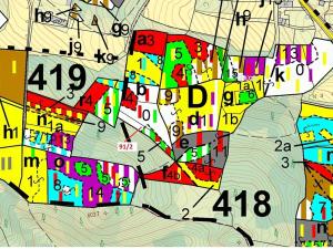 Dražba lesa, Pačejov, 1363 m2