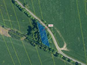 Dražba lesa, Újezd u Plánice, 795 m2