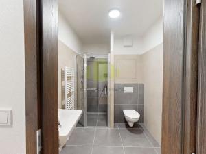 Pronájem bytu 1+kk, Olomouc, Janského, 36 m2