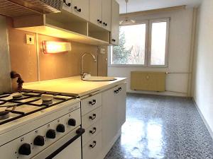 Prodej bytu 1+1, Ústí nad Labem - Severní Terasa, Kmochova, 44 m2