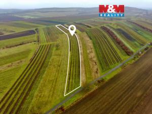 Prodej pole, Dolní Dunajovice, 6580 m2