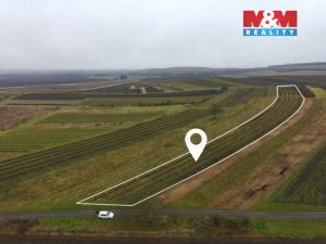 Prodej pole, Dolní Dunajovice, 6580 m2