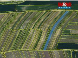 Prodej pole, Dolní Dunajovice, 6580 m2