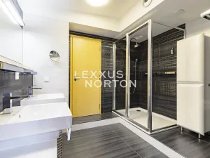 Pronájem bytu 4+kk, Praha - Smíchov, Švédská, 165 m2