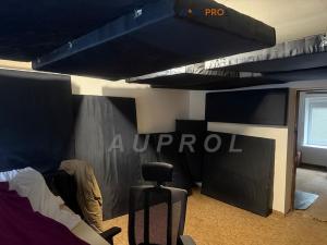 Prodej rodinného domu, Řepín, Libeňská, 61 m2