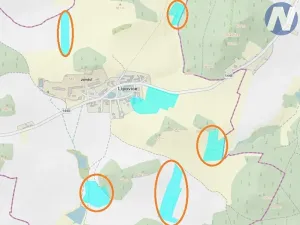 Prodej pozemku, Lipovice, 72564 m2