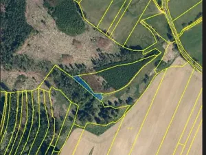 Prodej lesa, Ústrašín, 1179 m2