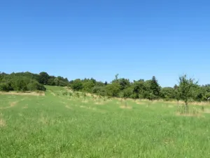 Dražba pozemku, Nové Strašecí, 5768 m2