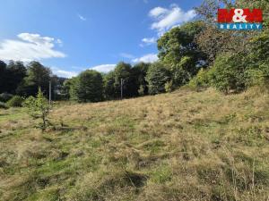 Prodej pozemku pro bydlení, Merklín - Lípa, 1763 m2