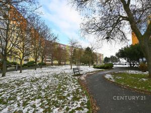 Pronájem bytu 2+kk, Most, Josefa Ševčíka, 40 m2