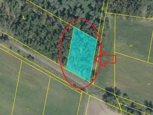 Prodej lesa, Sány, 1918 m2