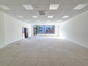 Pronájem kanceláře, Brno, Botanická, 900 m2