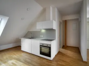 Pronájem bytu 1+kk, Praha - Karlín, Sokolovská, 78 m2