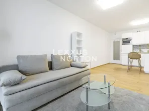 Pronájem bytu 1+kk, Praha - Smíchov, Holečkova, 34 m2