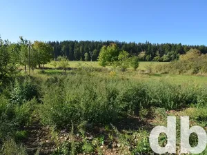 Prodej pozemku pro bydlení, Toužim, 8027 m2