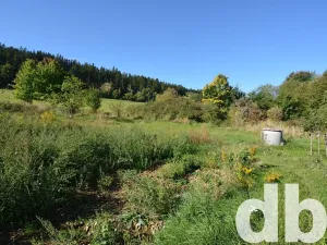 Prodej pozemku pro bydlení, Toužim, 8027 m2