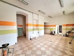 Prodej zemědělské usedlosti, Kolešov, 500 m2