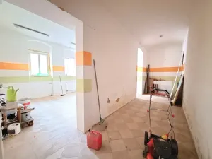 Prodej zemědělské usedlosti, Kolešov, 500 m2