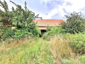 Prodej zemědělské usedlosti, Kolešov, 500 m2