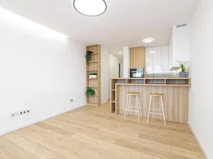 Pronájem bytu 1+kk, Ostrava, Gen. Janouška, 27 m2