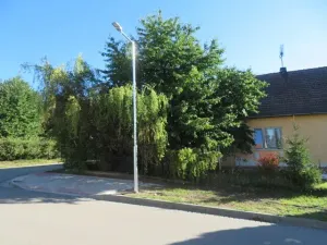 Dražba pozemku, Pyšely, 77 m2