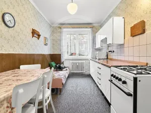 Prodej bytu 2+1, Ostrov, Krušnohorská, 68 m2