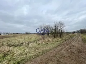 Prodej pole, Veselí nad Moravou, 3405 m2