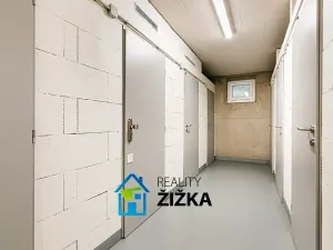 Prodej bytu 2+kk, Brno, Bělohorská, 60 m2