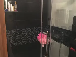 Pronájem bytu 2+1, Praha, Čílova, 54 m2