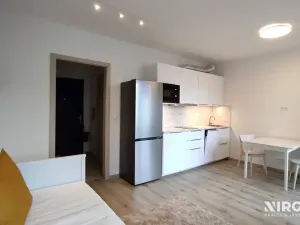 Pronájem bytu 1+kk, Praha - Chodov, Šternovská, 30 m2