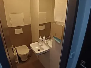 Pronájem bytu 1+kk, Brno, Hlinky, 44 m2