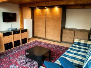 Pronájem bytu 1+kk, Praha - Stodůlky, Petržílkova, 41 m2