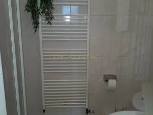 Pronájem bytu 1+kk, Brno - Lesná, Seifertova, 13 m2