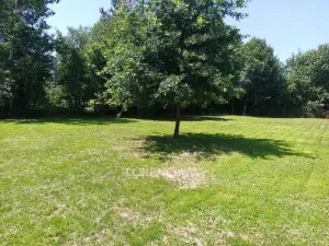 Prodej rodinného domu, Žáky - Štrampouch, 90 m2