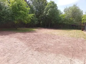 Prodej rodinného domu, Žáky - Štrampouch, 90 m2