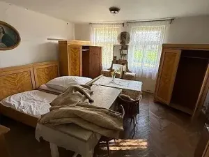 Prodej vícegeneračního domu, Opočnice, 604 m2