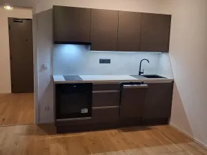 Pronájem bytu 1+kk, Brno, Bratislavská, 32 m2
